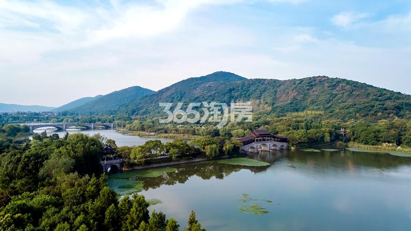 项目周边配套——长广溪湿地公园