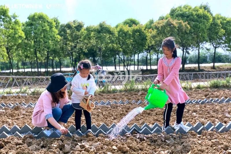 合肥桃李春风活动实景图（2020.11.30）