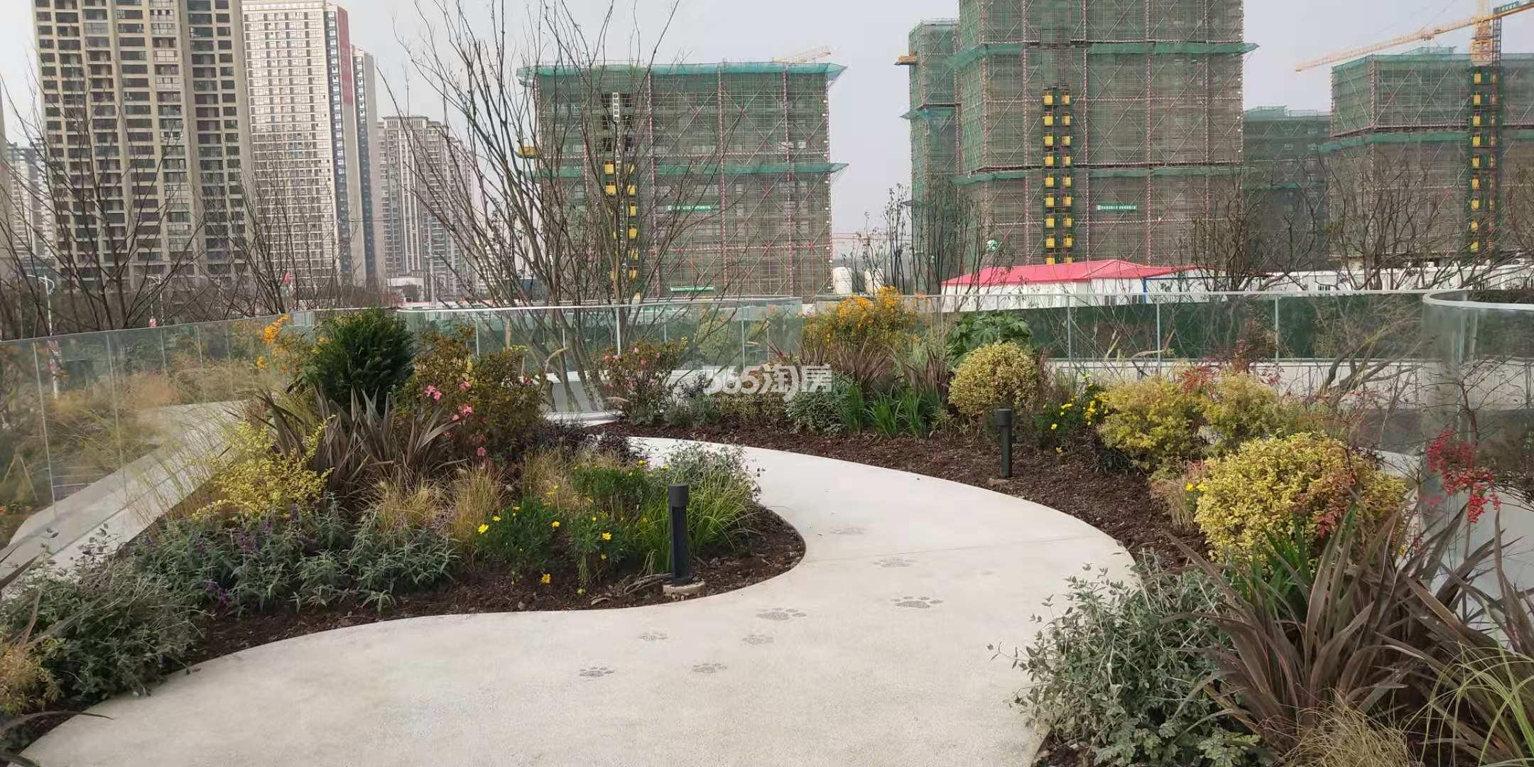 旭辉·吴门里售楼处二楼植物景观实景
