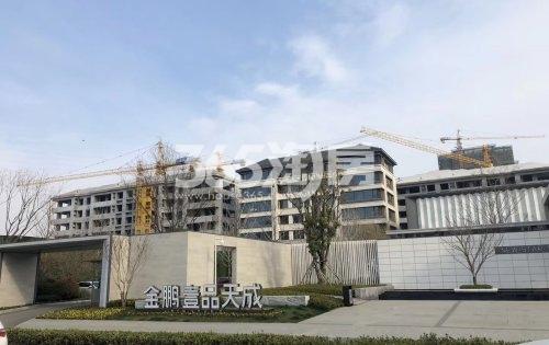 金鹏壹品天成示范区外部环境实景图（2020.10.12）