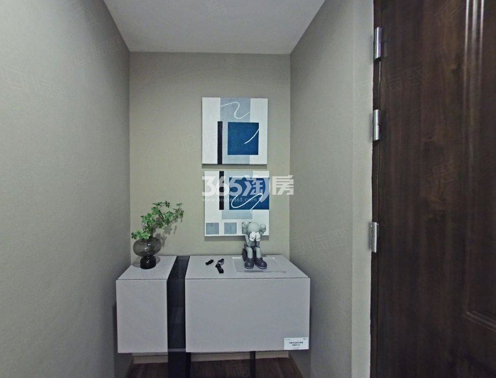 湖湾天地125㎡户型玄关样板间图