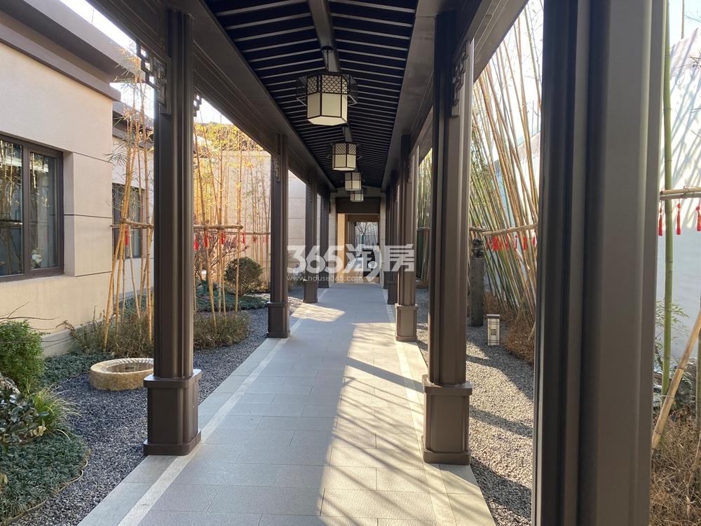 建发泊月湾示范区实景（2021.2.20摄）