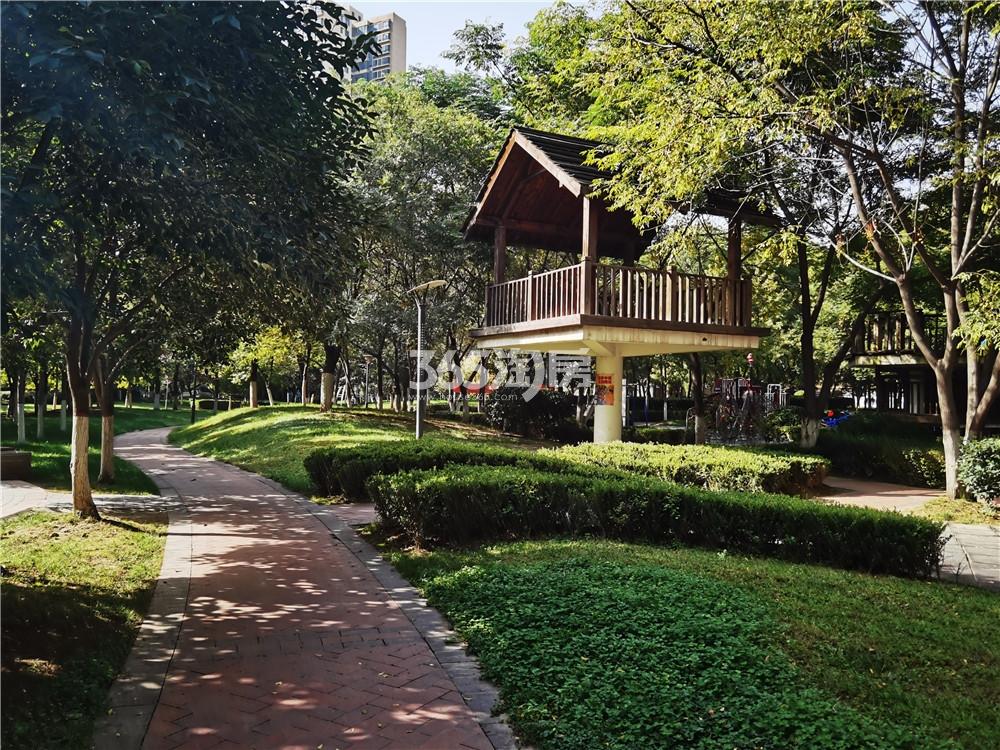 御锦城社区公园休闲区实景图（2020.10.22）
