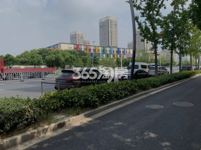 葛洲坝南京中国府开盘现场图(8.26)