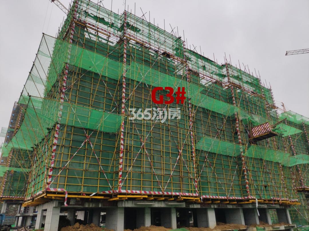 皖投新悦里G3#工程进度实景图（2021.4.21）