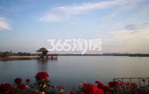 祥源花世界水域实景图（2020.9.7）