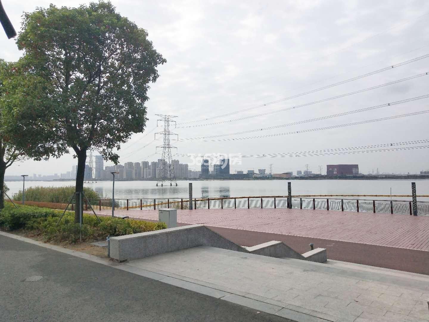 湖湾天地周边水系实景图