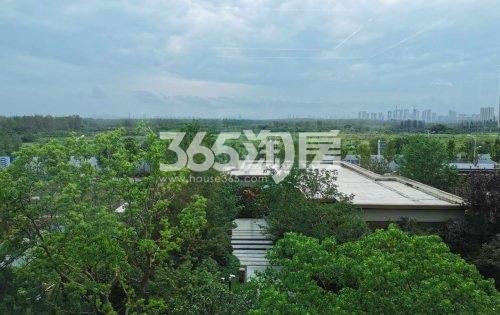 龙湖天境实景图