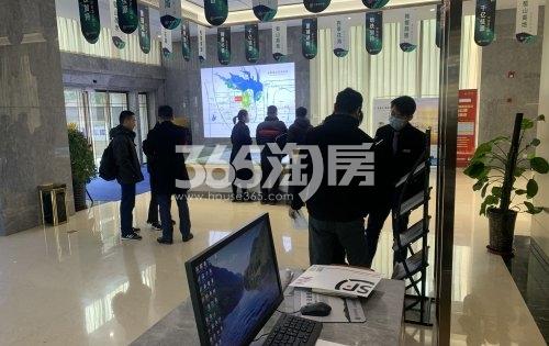 佳源花海印象临展点实景图（2021.01.08）