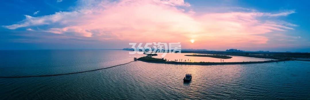 合肥桃李春风周边配套——巢湖风光（2020.11.11）