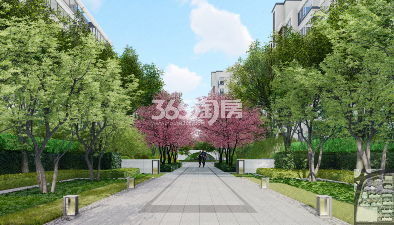银城知庐效果图