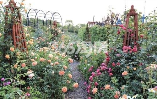 祥源花世界湖悦花园配套图（2021.5.12）