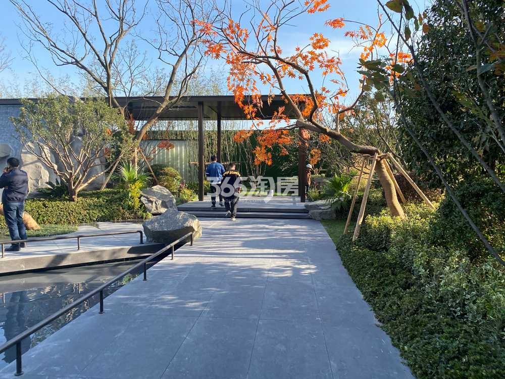 龙湖·粼云上府示范区实景（2021.11.17摄）