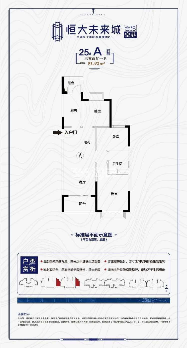 寿县恒大未来城25#91.92㎡A户型图