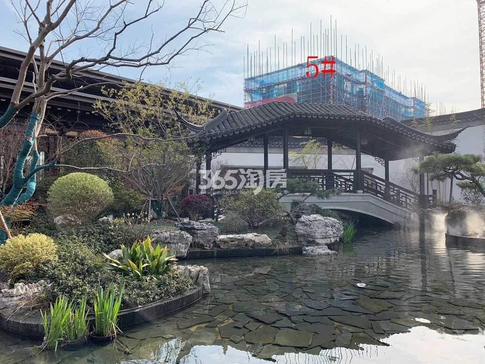 建发泊月湾示范区实景（2021.3.24摄）
