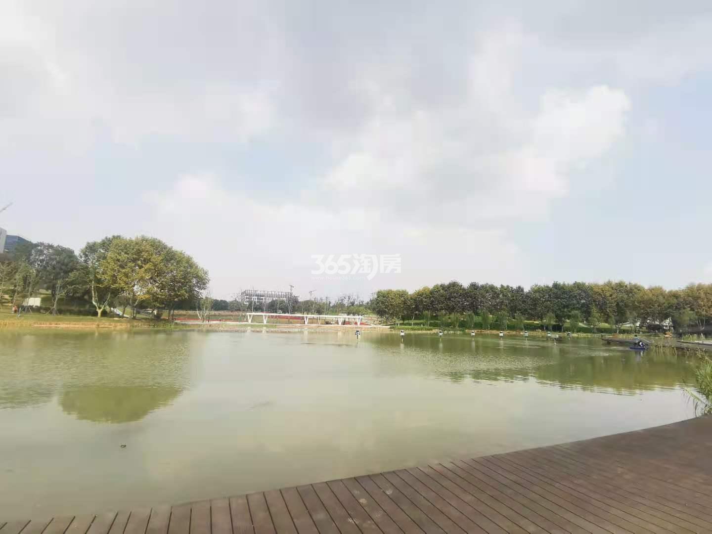 花样年花好园周边公园—文化与创新中心（11.30）