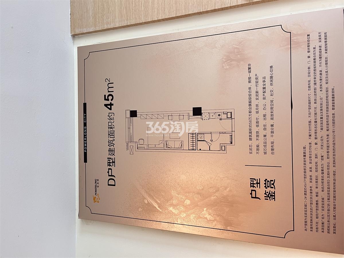 玄武宝龙城D户型45㎡户型图 