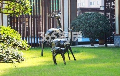 金鹏麓山院交付绿化景观实景图（2020.10.11）