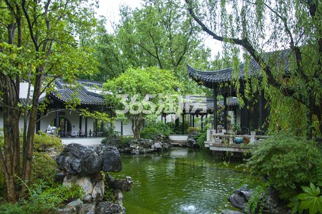 绿城南京桃花源实景图（8.24）_南京绿城南京桃花源_南京新房网_365淘房