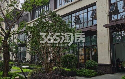 乐富强悦融湾售楼部绿化实景图（2020.8.31）