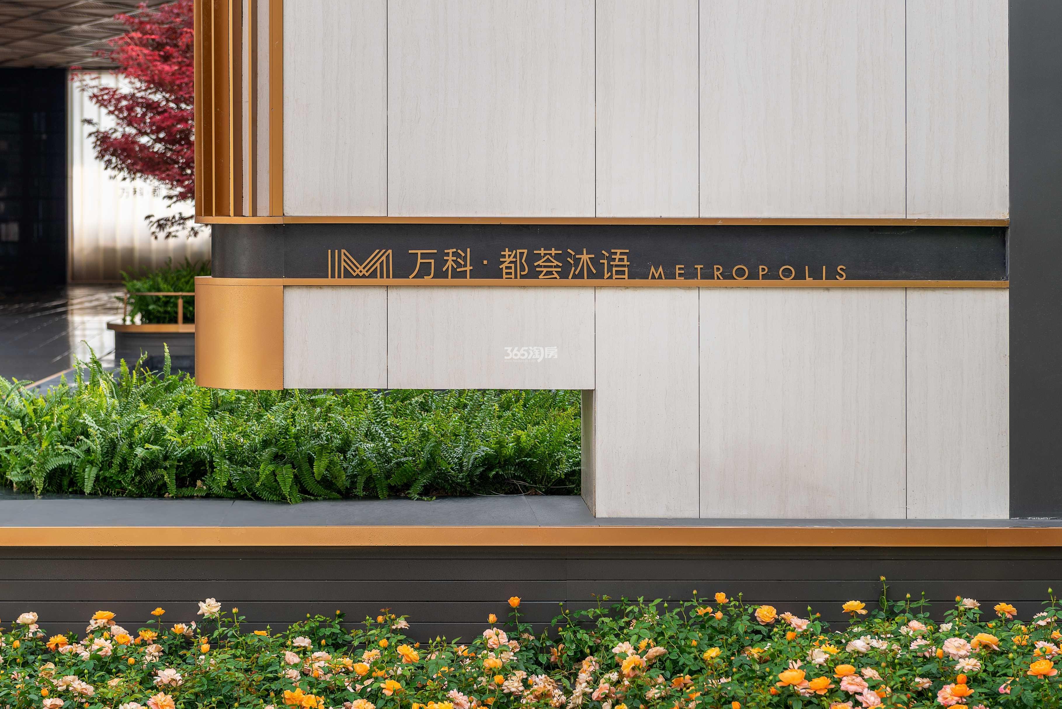 万科都荟沐语售楼处实景图（11.1）
