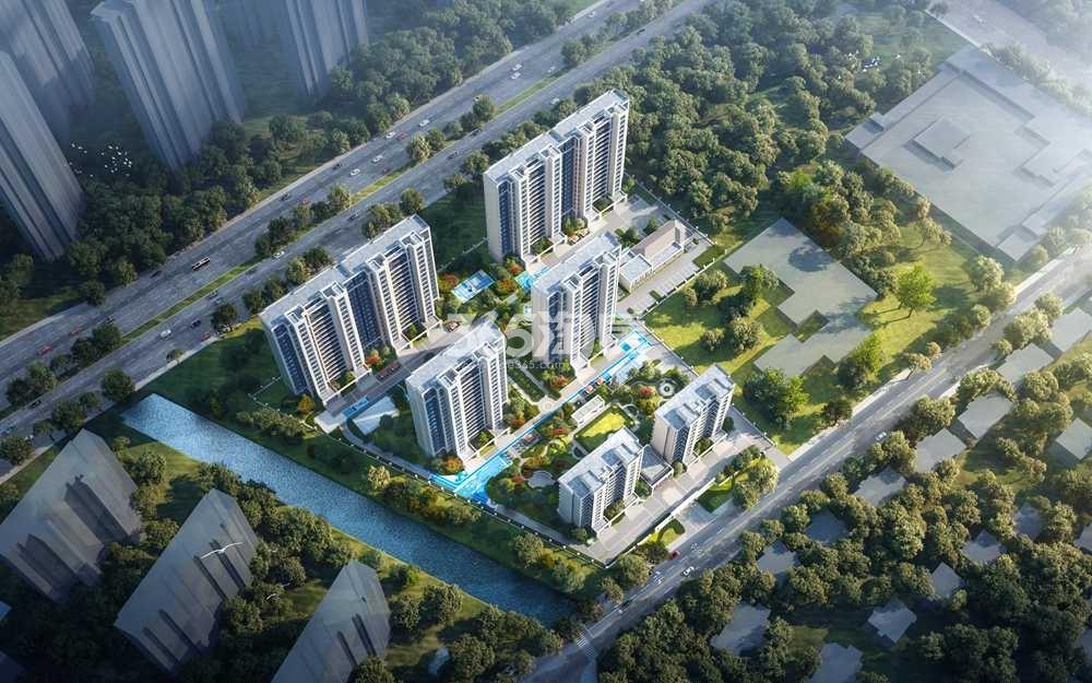 和著最新动态