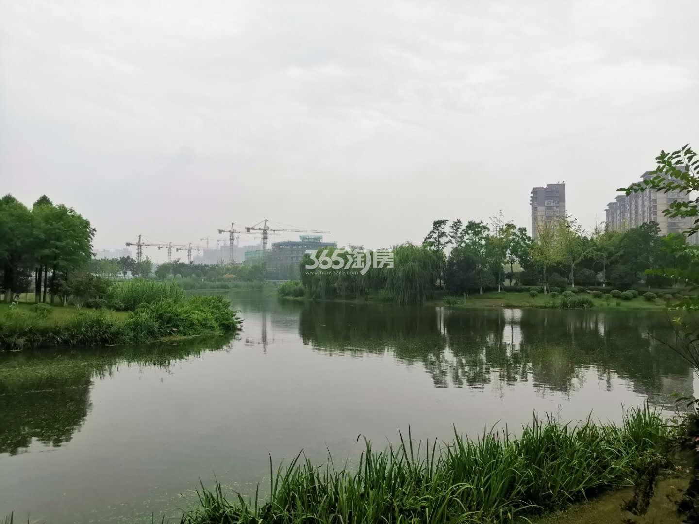 上棠颐和府周边环境—茉湖(10.28)_南京上棠颐和府_南京新房网_365淘房