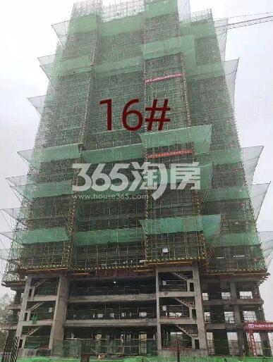 新力弘阳湖语时光16#工程进度实景图（2021.1.4）