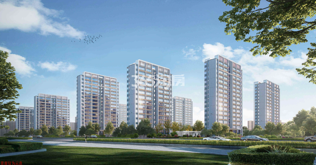 新华星耀学府住宅效果图