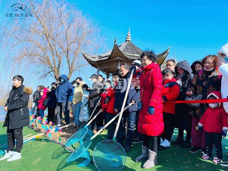 合肥桃李春风实景图