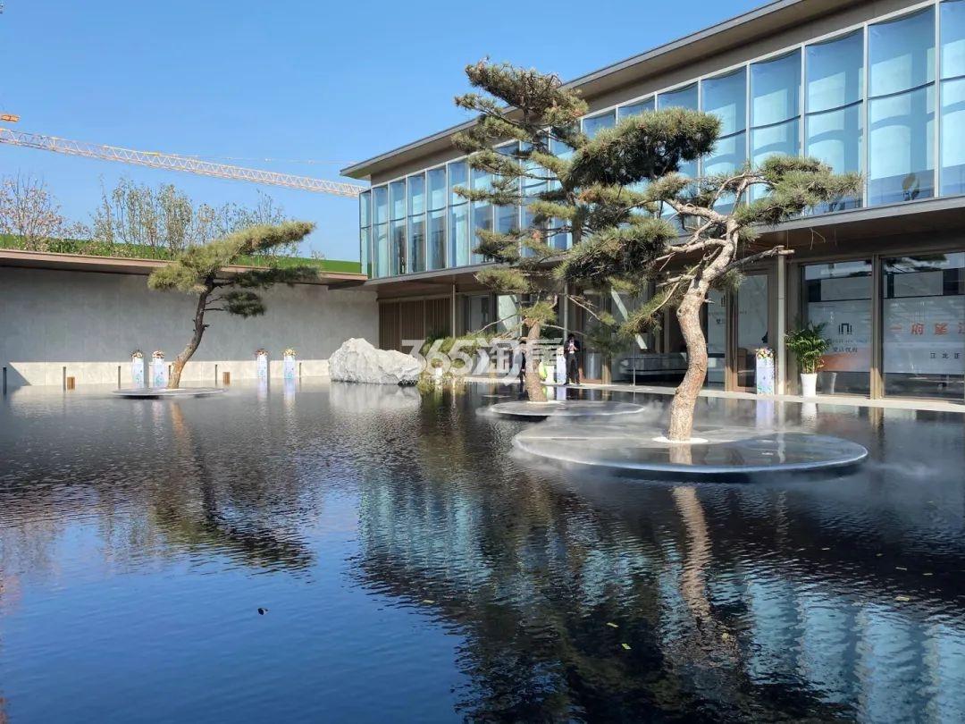 望江悦府售楼处实景图(11.14)_南京望江悦府_南京新房网_365淘房
