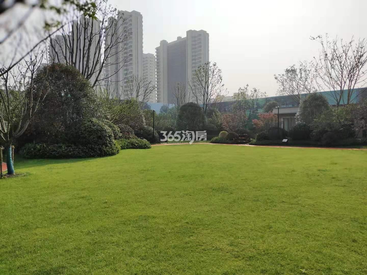 新力弘阳湖语时光售楼部草地实景图（2021.3.19）