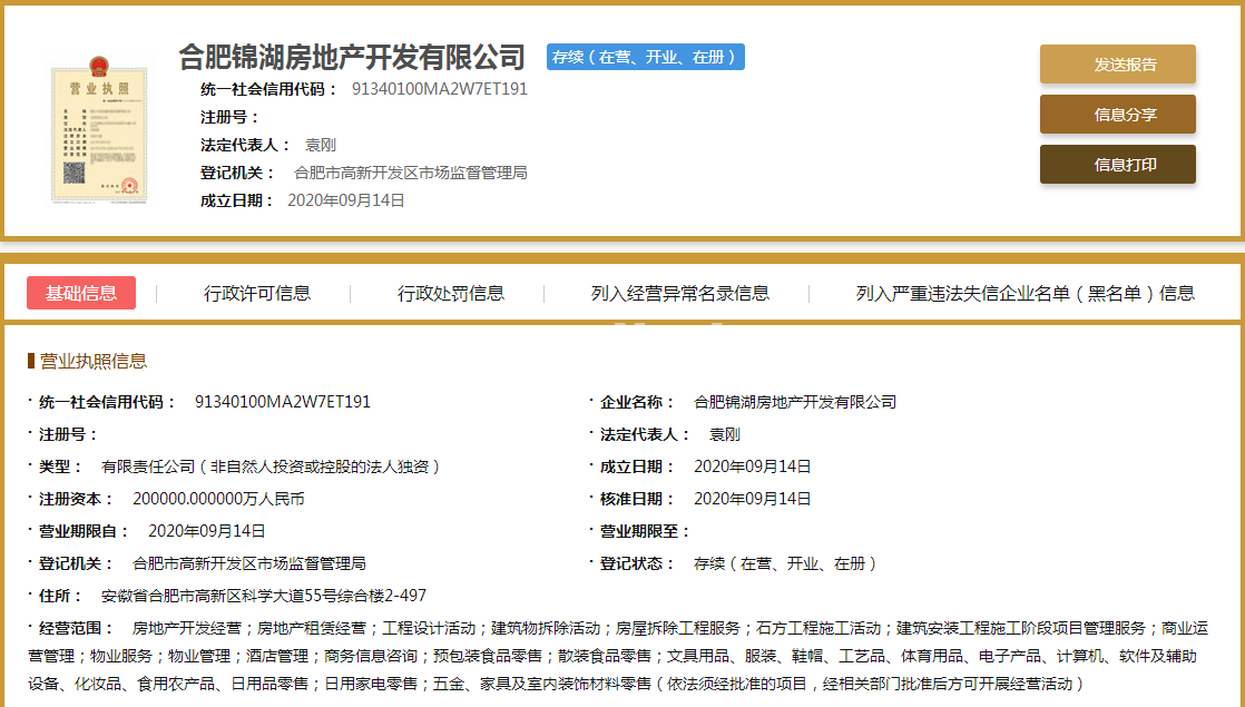 龙湖光年营业执照