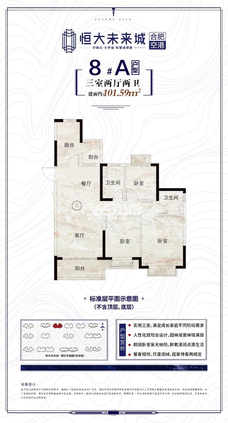 寿县恒大未来城8#101.59㎡A户型