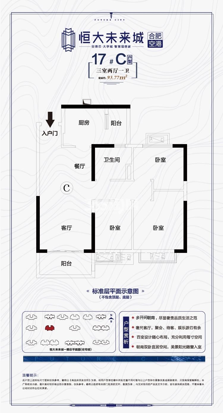 寿县恒大未来城17#93.77㎡C户型