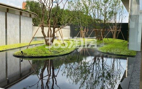 新希望锦麟芳华实景图