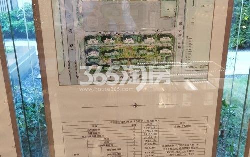 乐富强悦融湾售楼部文件实景图（2020.8.31）