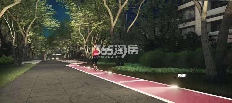 中海上东区夜光跑道效果图