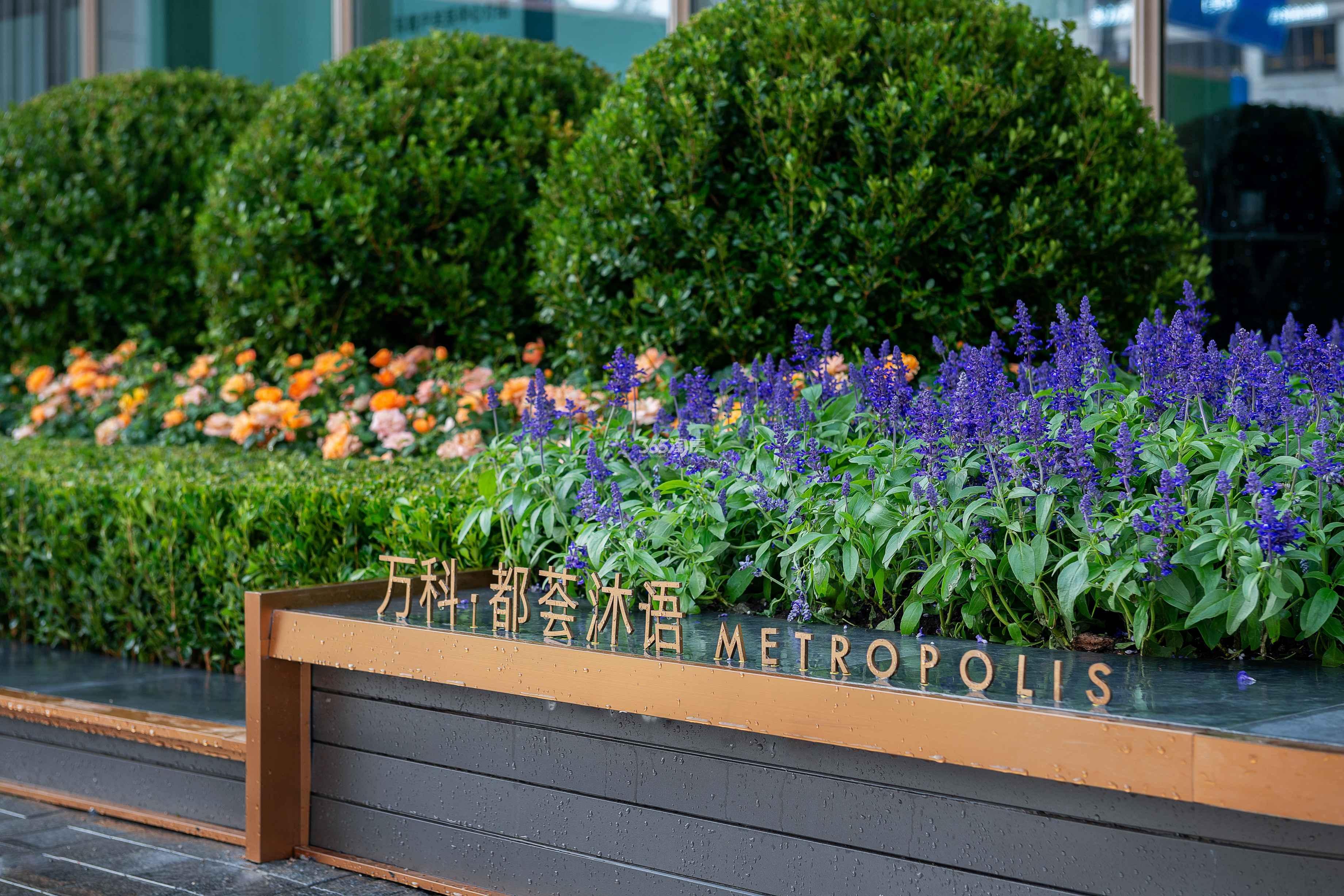万科都荟沐语售楼处实景图（11.1）