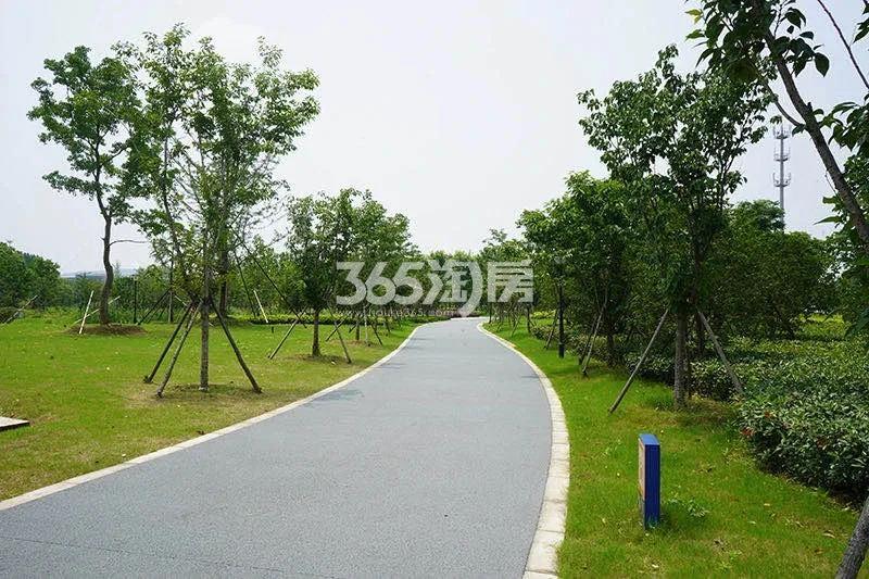 招商钱桥上伟路地块周边配套——洋溪河湿地公园