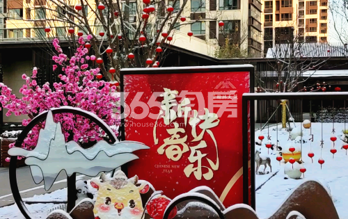 安建翰林天筑实景图