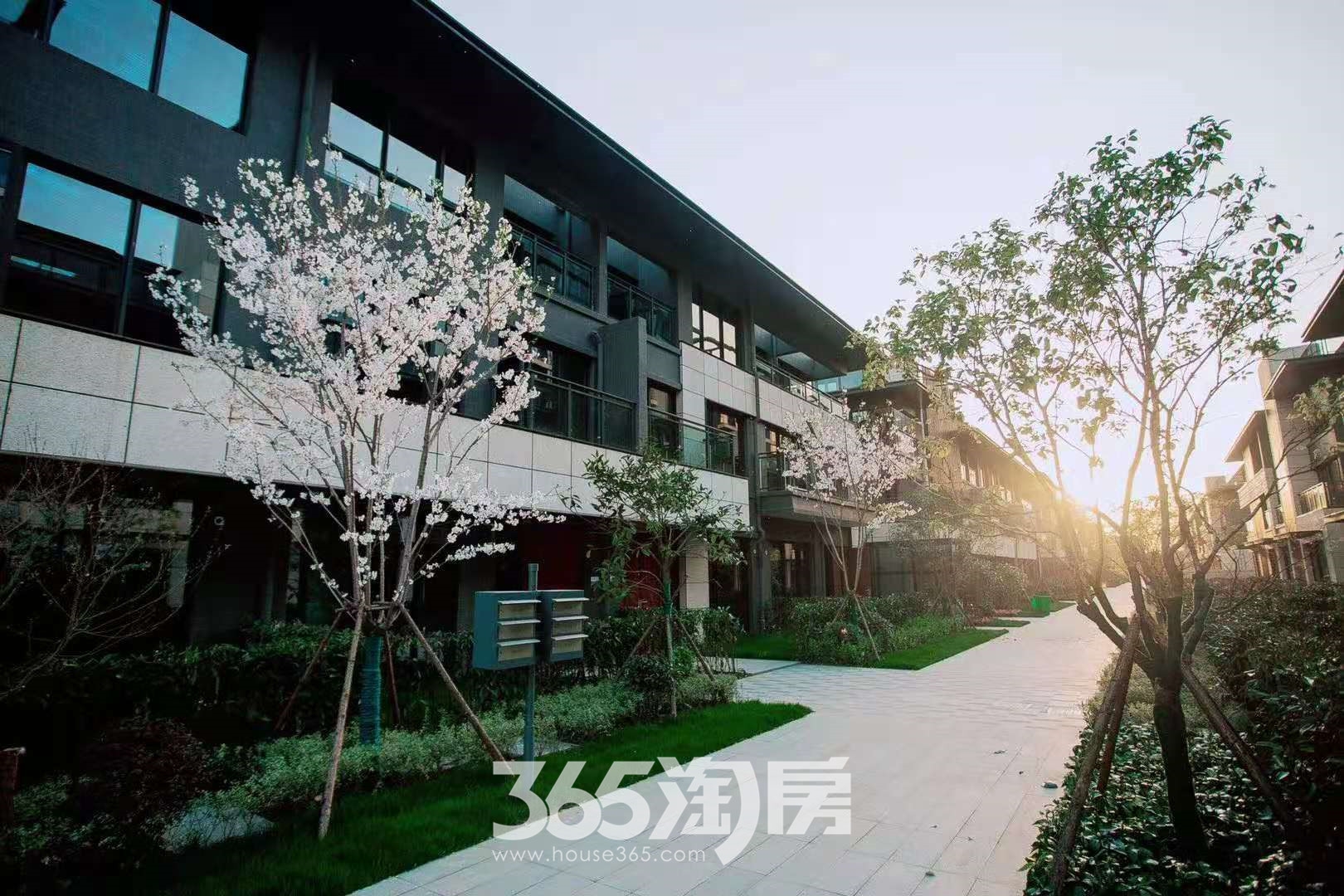 安展蔚然家园实景图