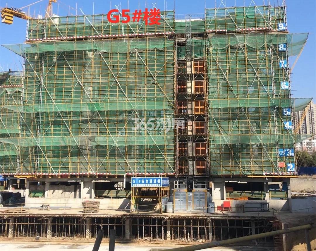 翡丽东方G5#楼施工进度实景图（2021.3.16）