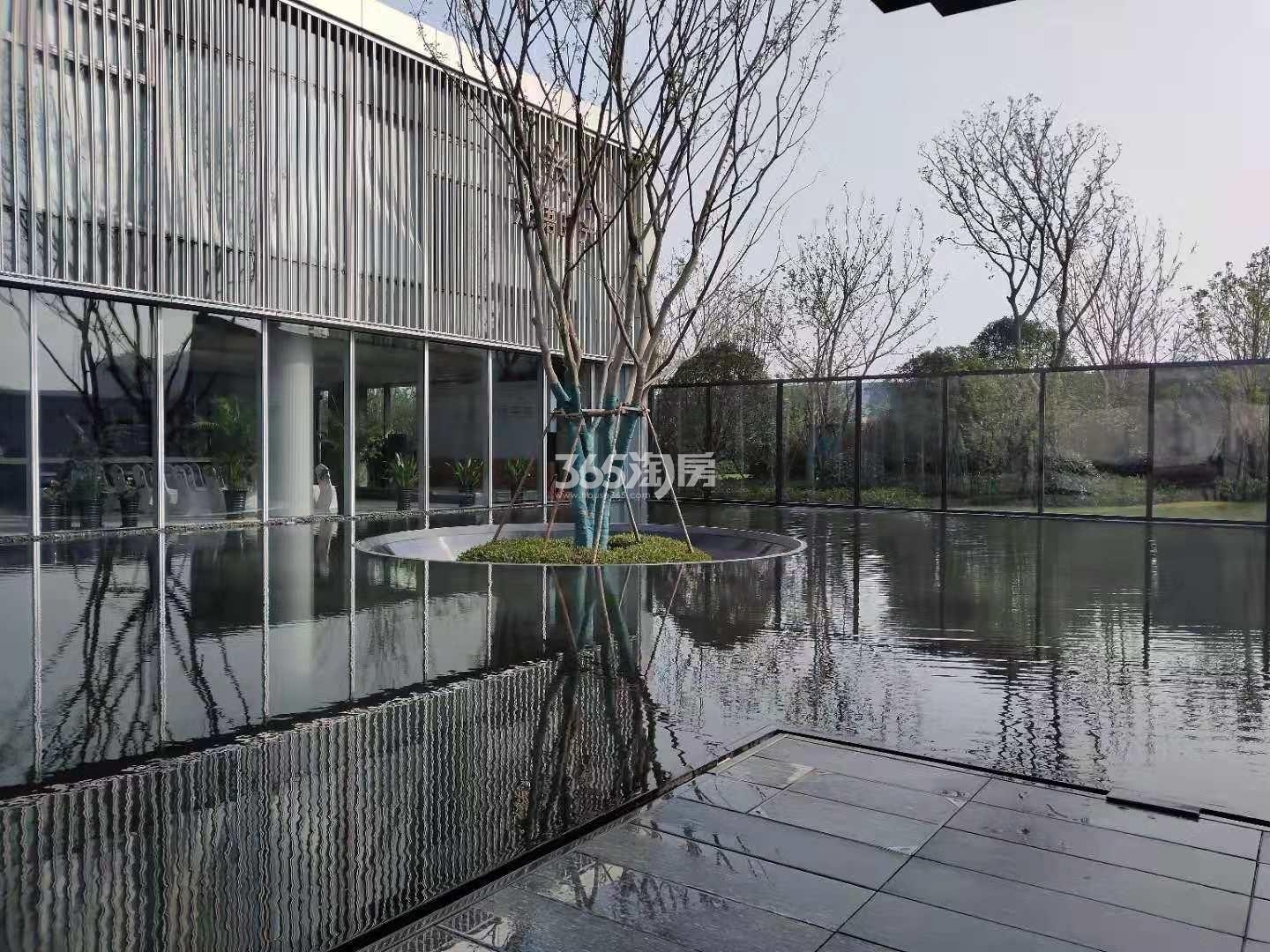 新力弘阳湖语时光示范区景观实景图（2021.3.19）