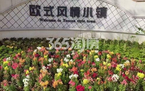 祥源花世界湖悦欧式小镇配套图（2021.5.12）