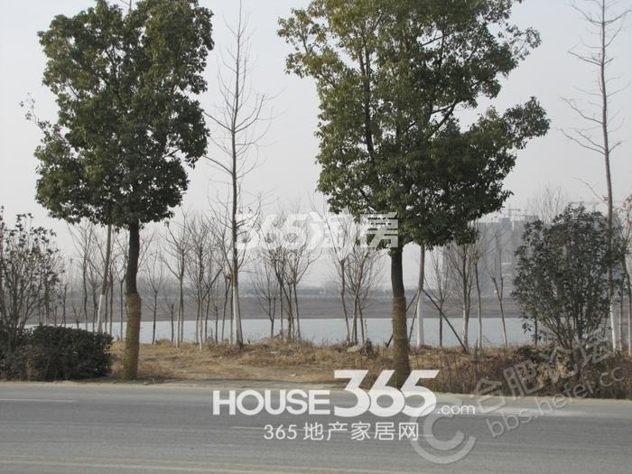 祥源湖山壹号周边配套——王咀湖（2022.2.9）