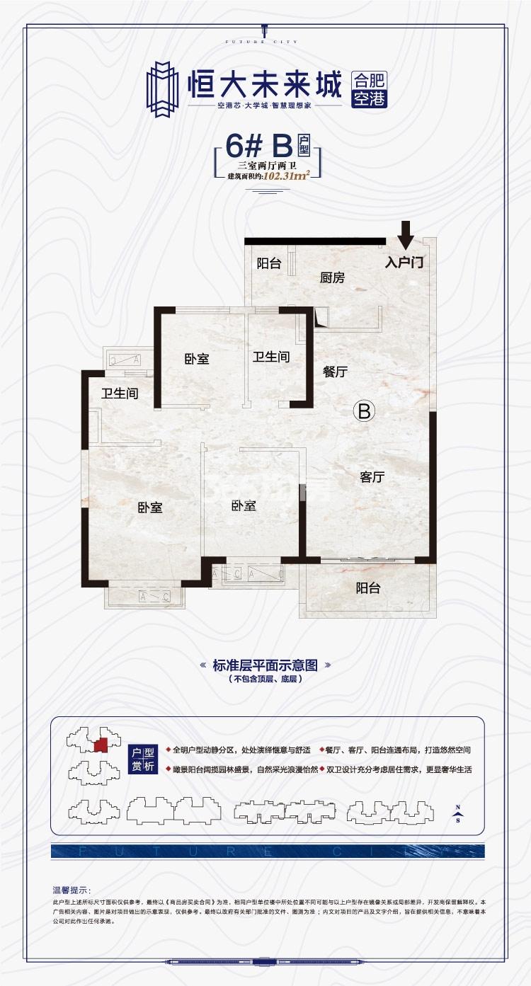 寿县恒大未来城6#102.3㎡B户型图
