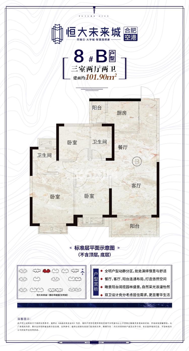 寿县恒大未来城8#101.90㎡B户型