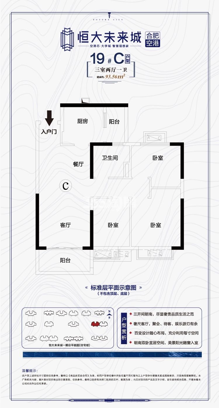 寿县恒大未来城19#93.56㎡C户型图