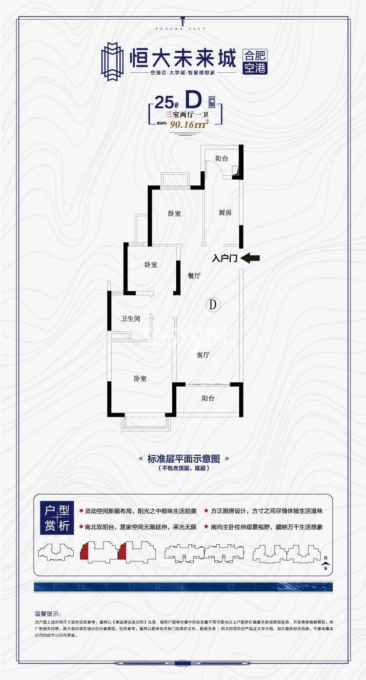 寿县恒大未来城25#90.16㎡D户型图